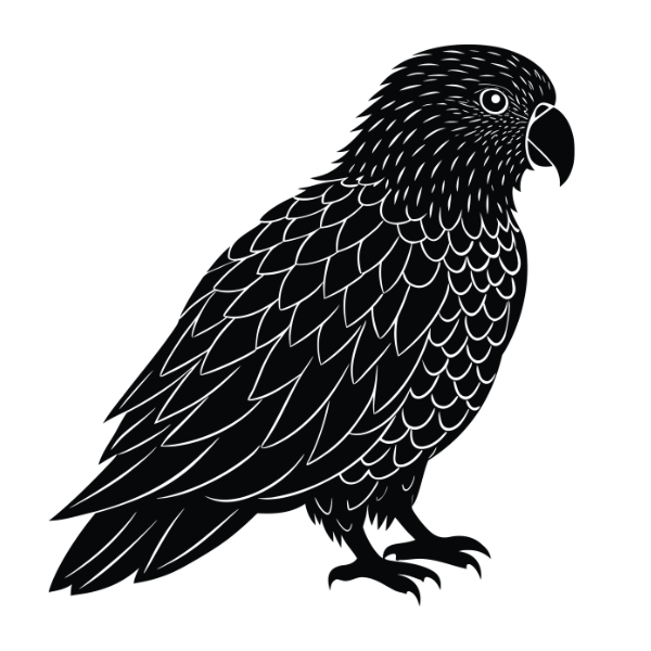 Kalipo Vector KAKAPO 4 - White Cloud Decor Transfers